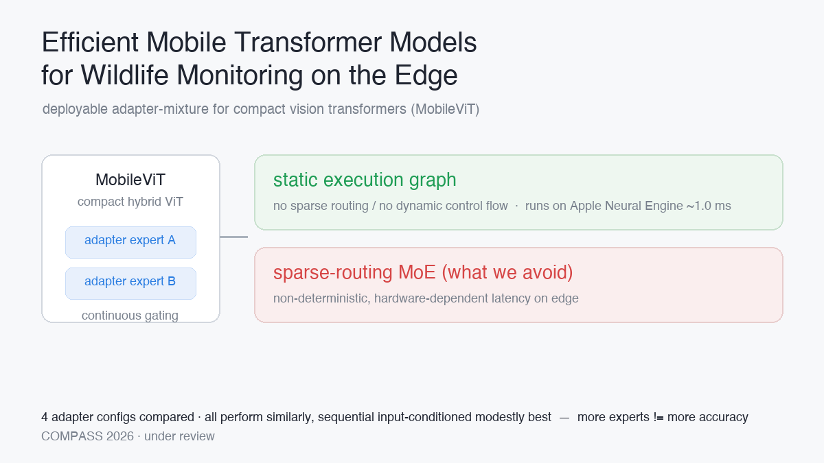 Efficient mobile transformer models for the edge