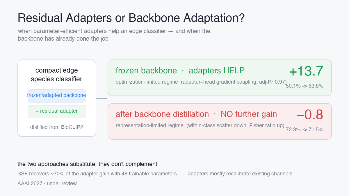 Residual adapters vs backbone distillation on edge classifiers