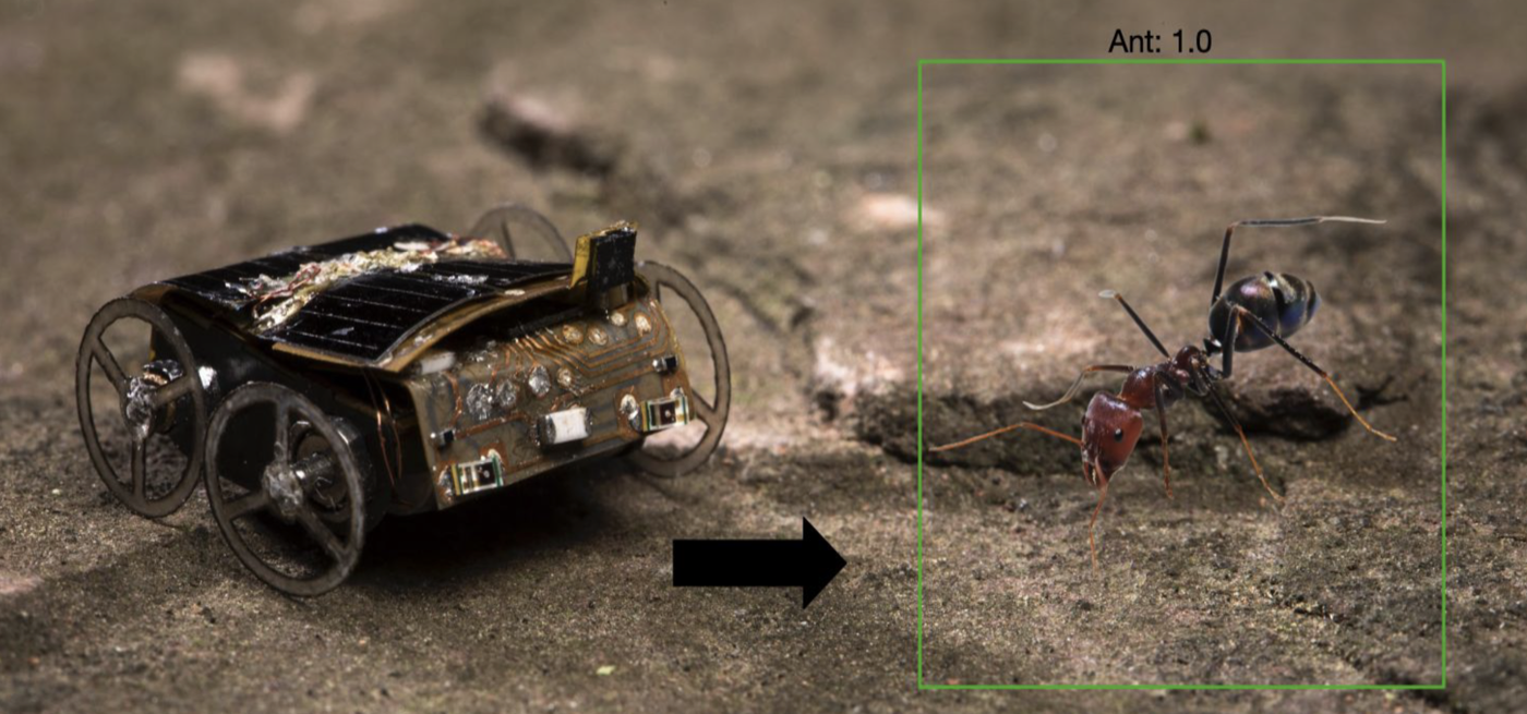 Battery-free on-board computer vision for insect-scale microrobots